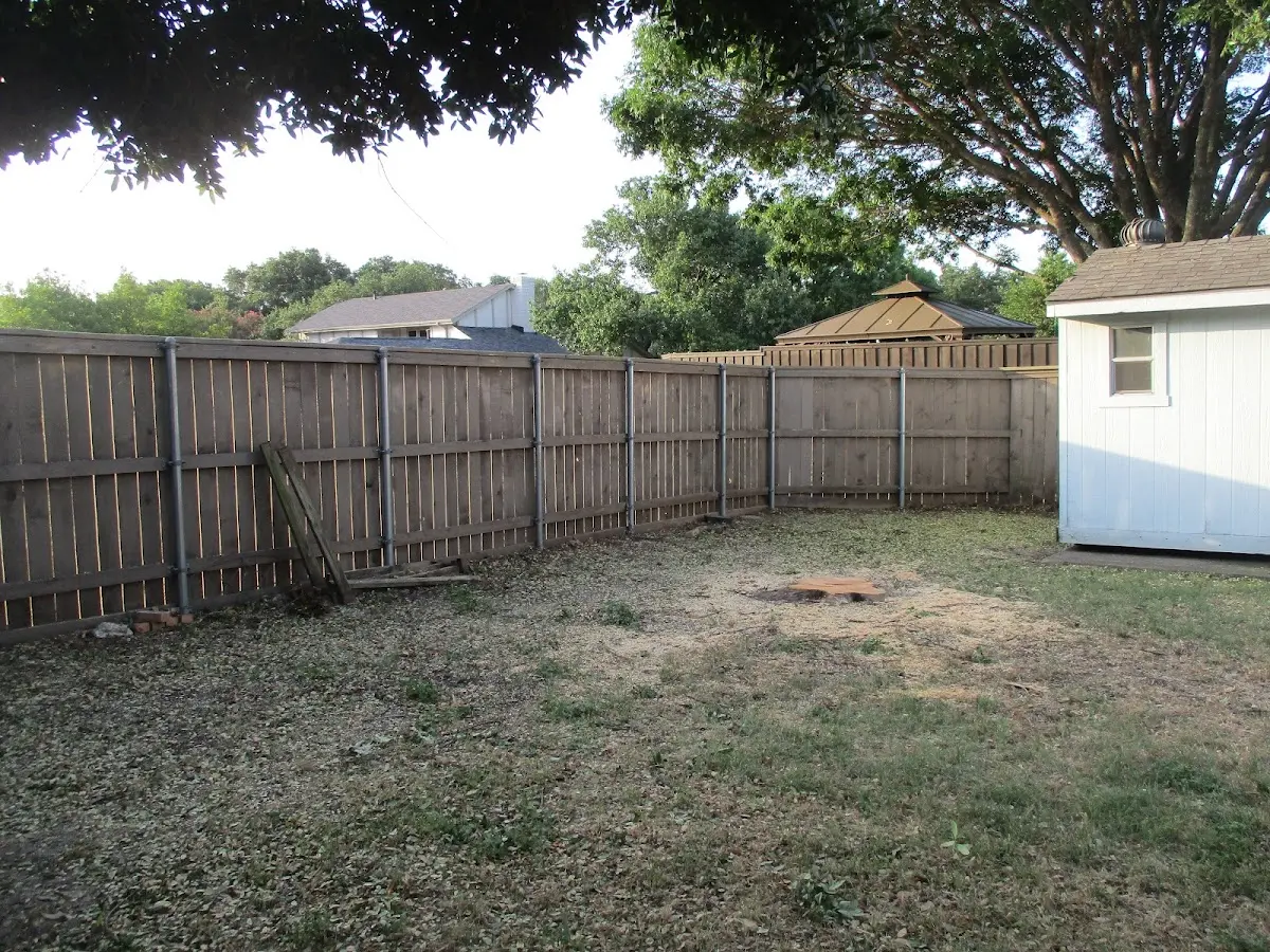 Cleared yard after professional tree removal in North Dartmouth